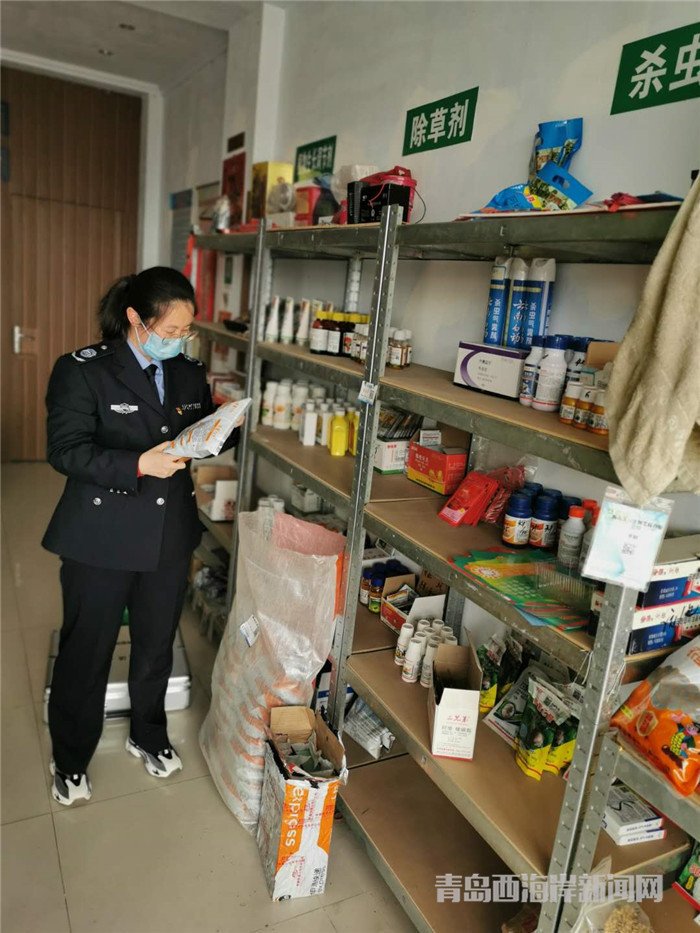 圖為西海岸新區(qū)農(nóng)業(yè)綜合行政執(zhí)法大隊(duì)執(zhí)法隊(duì)員在查看玉米種子包裝。.jpg